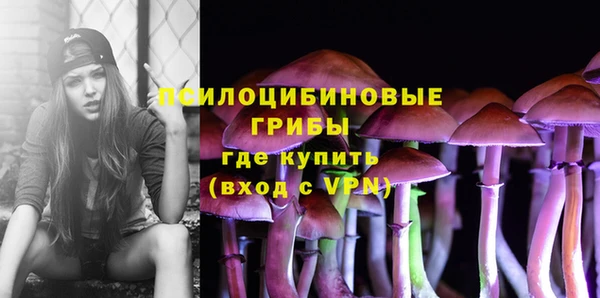 spice Алексин
