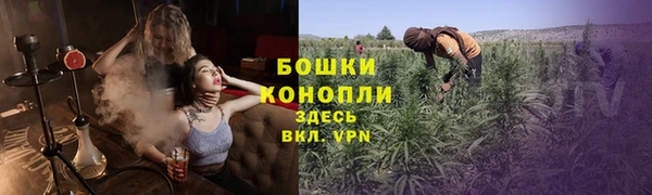 spice Алексин