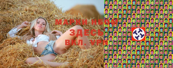 spice Алексин