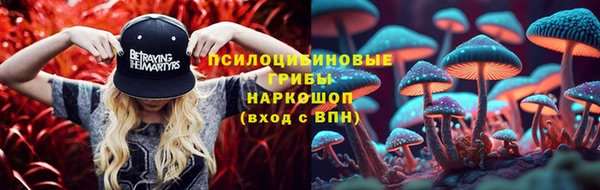 spice Алексин