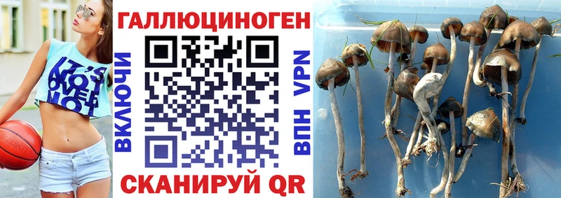 сколько стоит  Белебей  Галлюциногенные грибы ЛСД 